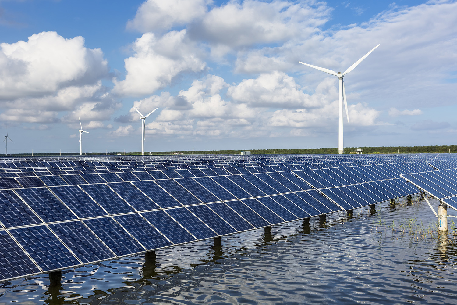 solar energy panels and wind turbines